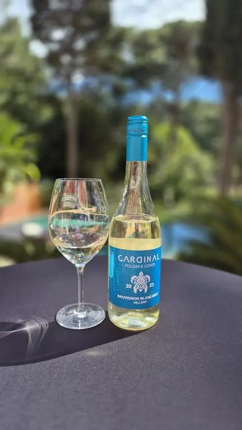 Sauvignon Blanc Habzóbor 2023 My Store