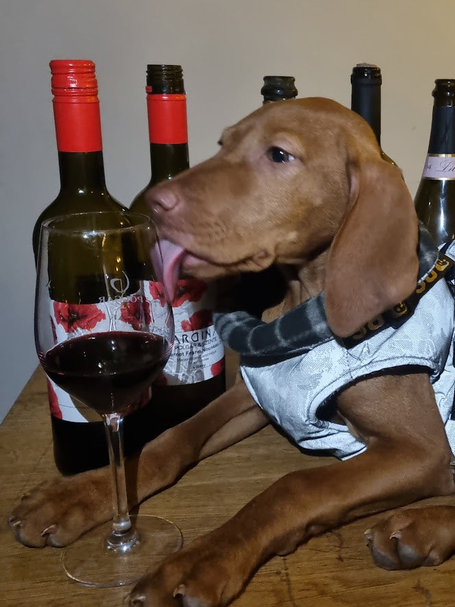 CardinalBor Bozsolé Borozás